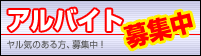 �A���o�C�g��W